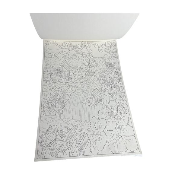 VTG Red Farm Studio Butterflies LARGE COLORING BOOK 6PG Carroza Art Attached 18" - Picture 3 of 8